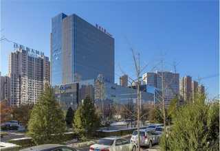 上海干品灰树花的价格